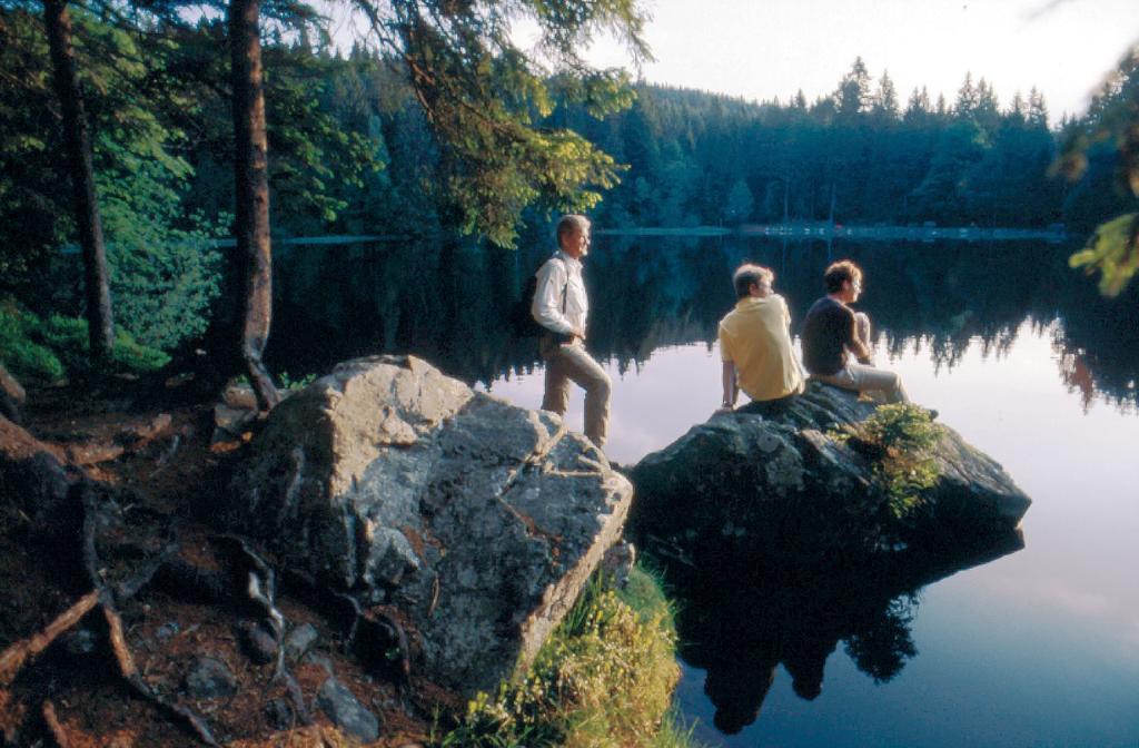 Ferien Residenz Bergfried Hotell Hinterzarten Eksteriør bilde